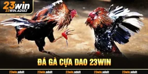 Đá Gà Cựa Dao 23Win - Khám Phá Nghệ Thuật Chiến Đấu Đỉnh Cao